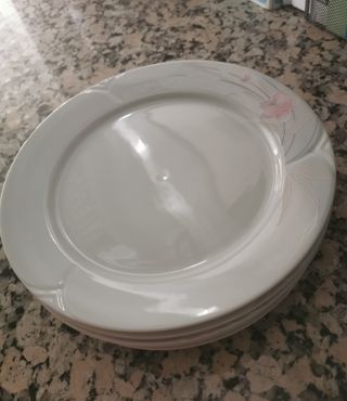 6 Platos llanos Santa Clara