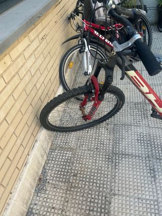 Bici BH OVER X 