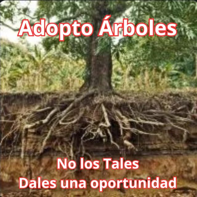 Adopto Árboles