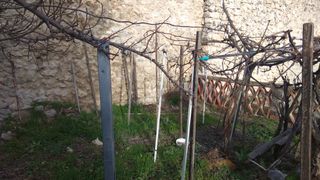 En Cuéllar Huerto urbano histórico. En la Trinidad