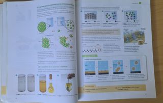 FISICA Y QUIMICA SERIE INVESTIGA 4 ESO SABER HACER
