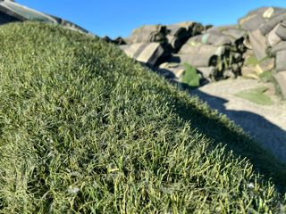 Césped artificial reciclado 🌿