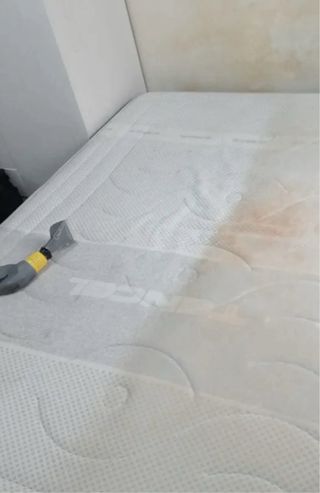 Limpieza de tapizados