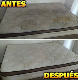 Limpieza de tapizados