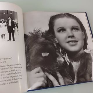 CIEN AÑOS DE CINE. Niños + Mascotas