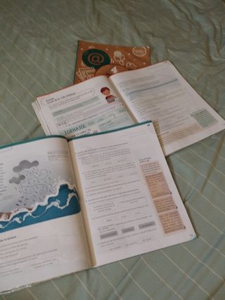 Libros de texto 