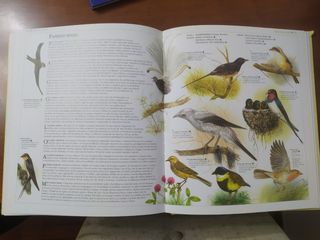 Libro Atlas de animales