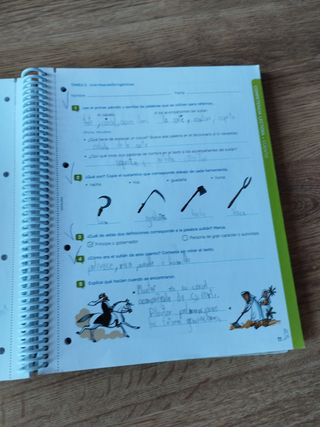 Lengua+. Serie comunica. 6 primària