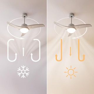 Ventilador de techo