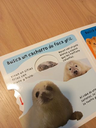 Libró "Los bebés de los animales"