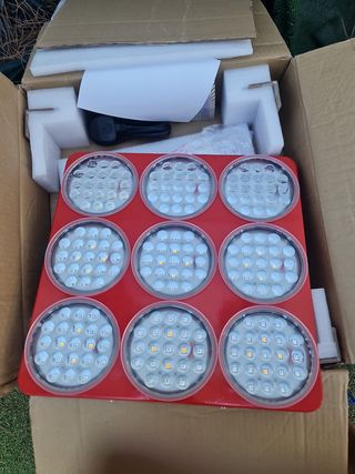 Luces de grow lights