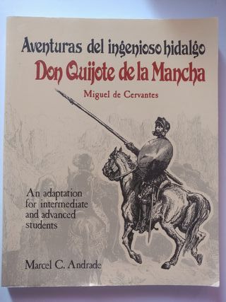 el quijote varios infantil lote de libros
