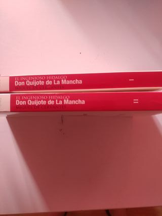 el quijote varios infantil lote de libros