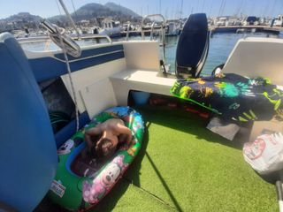 Barco Ducato festival