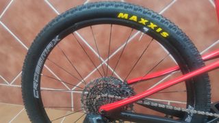 Bicicleta muscular doble