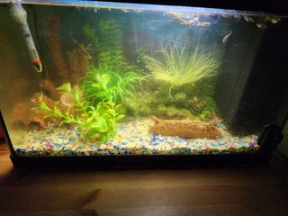 Acuario completo 