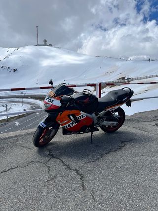 HONDA Cbr600f4 2001