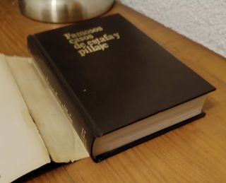 Libro famosos casos de estafa y pillaje