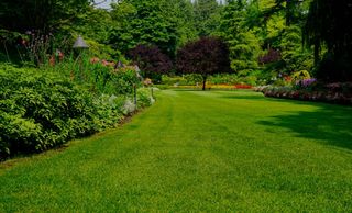 Jardinero 
