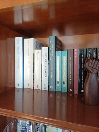 Mueble librería  de salón