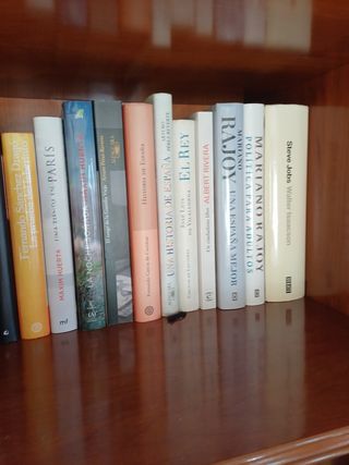 Mueble librería  de salón