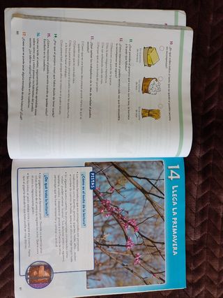 Libro competencia lectora