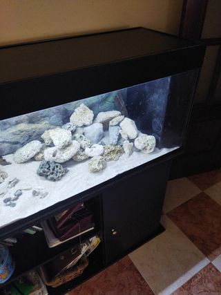 Acuario de 300 l