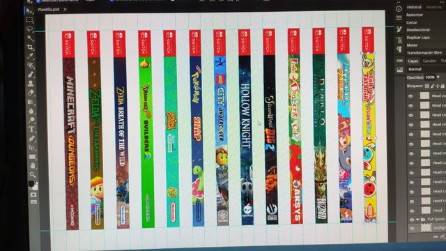 Lomos carcasas Nintendo Switch