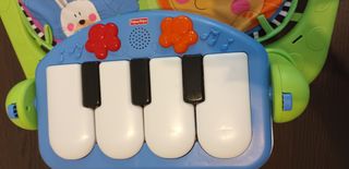 ALFOMBRA GIMNASIO- PIANO PATADITAS