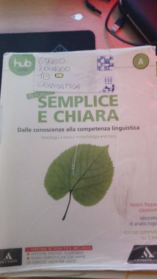 libri italiano scuole medie