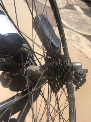 Rodillo Elite + rueda regalo