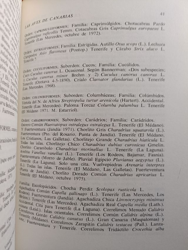 Las aves de Canarias 