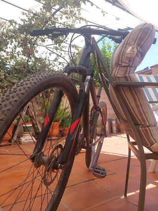 Bici de montaña Focus, talla 29