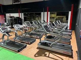 Lote cintas  de gimnasio Star Trac