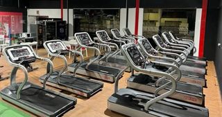 Lote cintas  de gimnasio Star Trac