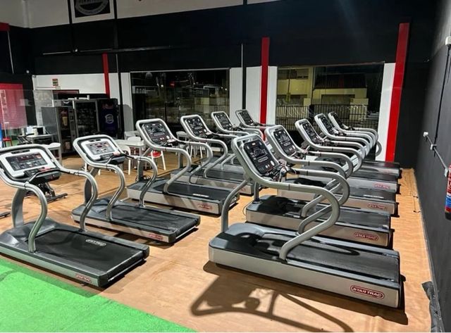 Lote cintas de gimnasio Star Trac