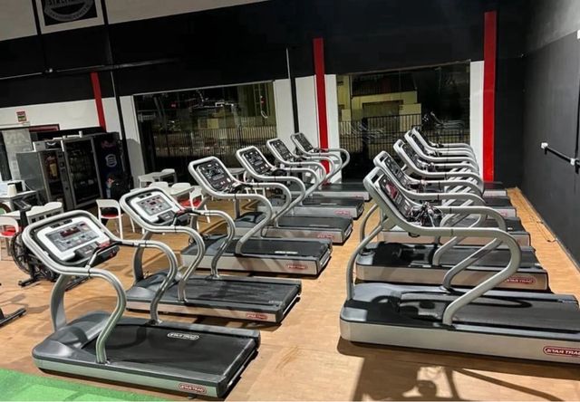 Lote cintas de gimnasio Star Trac