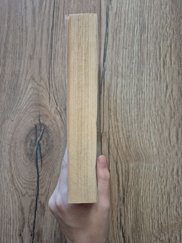 Hopeless Tocando el cielo