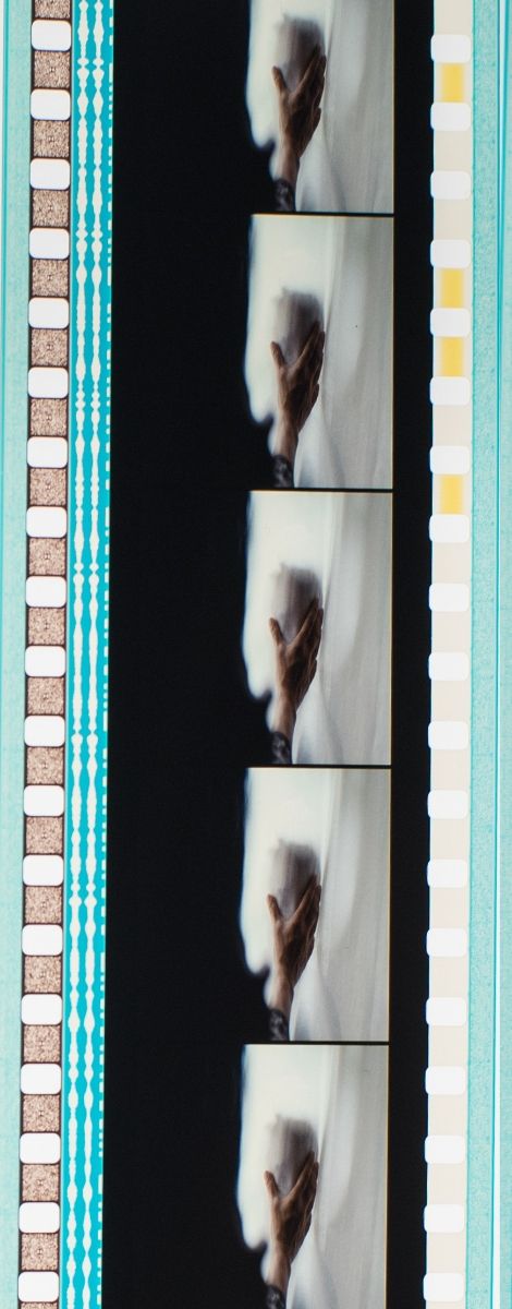 El Árbol de la Vida (2011) fotogramas originales