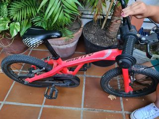 Bicicleta Niña