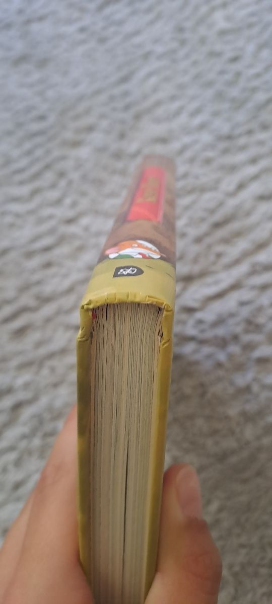 Robin Hood (Geronimo Stilton)