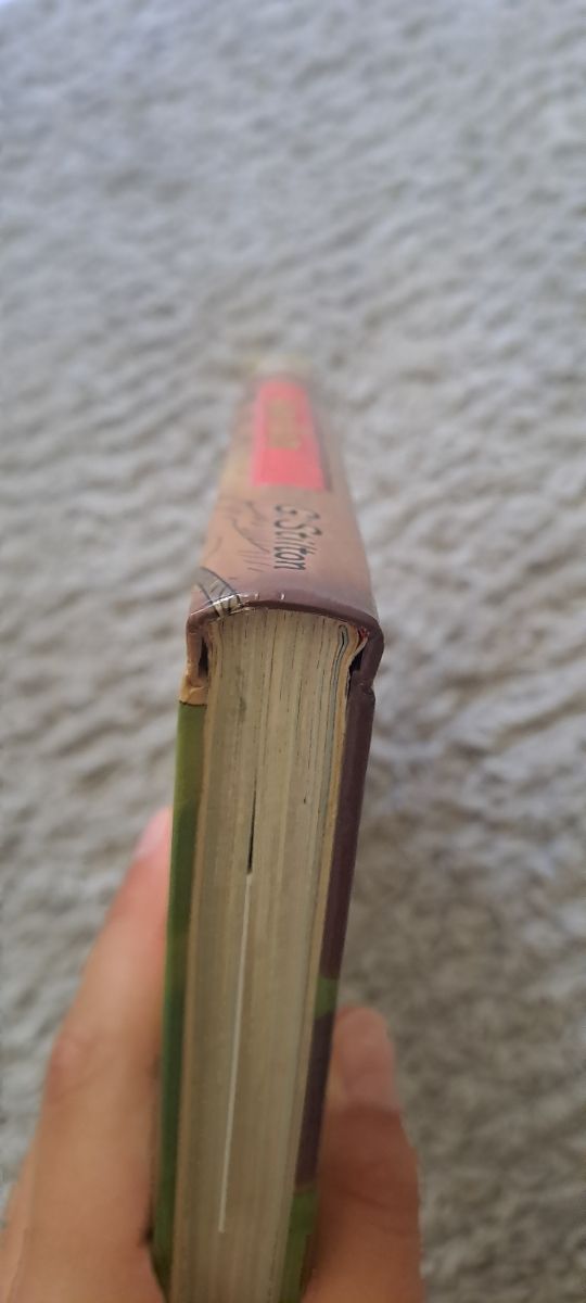 Robin Hood (Geronimo Stilton)