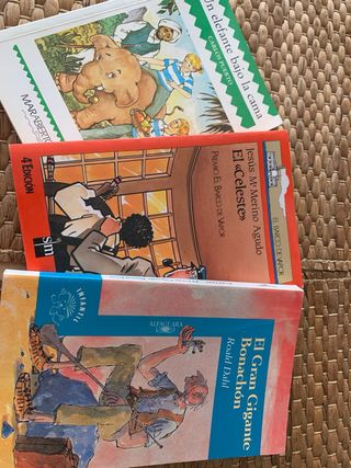 Lote libros infantiles 
