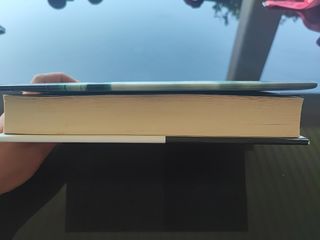 "Cuando pase la tormenta" Premio Novela