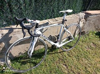 Pinarello dogma 60.1