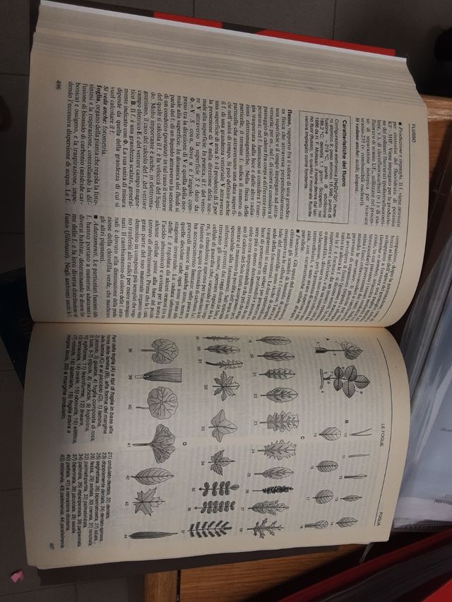 Eciclopedia della scienza e della tecnic