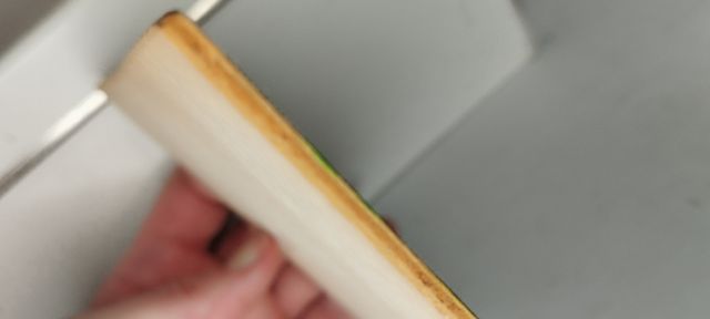 Conjunto de cuadritos aves