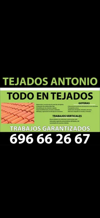 Especialistas en tejados