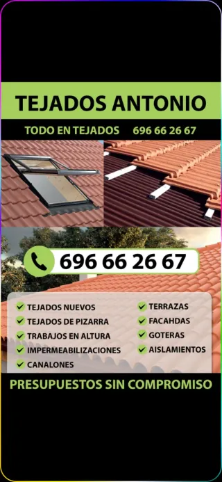 Especialistas en tejados
