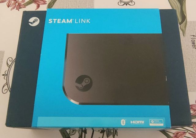 STEAM LINK